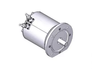 CAME 119RIA080 Motor unit - frog-md