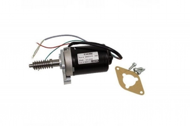 Came 119RIBX046 Moteur