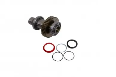 Came 119RICX027 Main Mode for CBX Drive