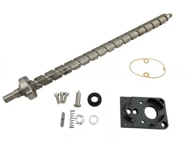 Came 119RID172 End screw - krono 3