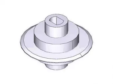 Came 119RIE113 Roue dentée avec chaîne