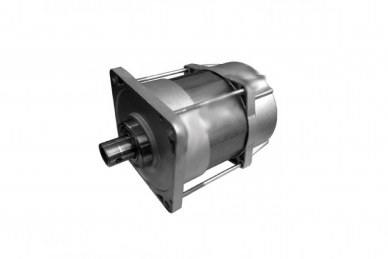Came 119RIE152 Moteur