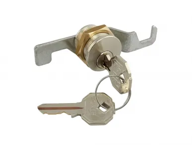 Came 119RIG160 Gard 8 door lock assembly