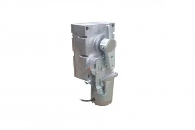 Came 119RIG196 GARD G2080 gearmotor