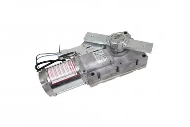 Came 119RIG333 GARD G4040 Gearmotor