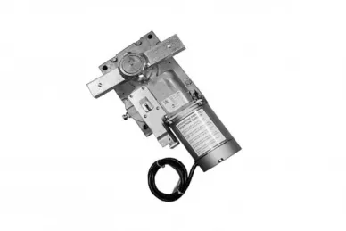 Came 119RIG412 GARD G4040E / G4040IE Gearmotor