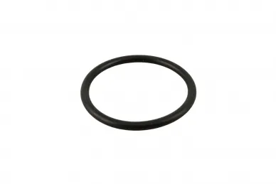 Faac 7090380025 Gasket or 29.82x2.62 (3118)