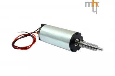 Nice RMHWG1S03 Moteur avec vis sans fin