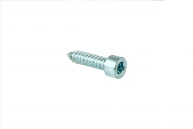 Nice V6.3X25.5101 Vis de boîtier longue
