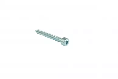 Nice V6.3X50A.5101 Screw WALKY/WT 