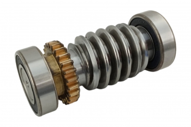 Came 119RIA016 Engrenagem de parafuso sem-fim ranhura da caixa de velocidades principal