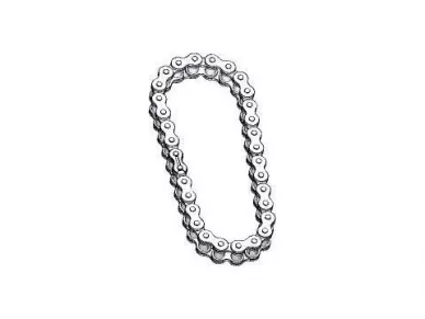 Came 119RIA036 Kette