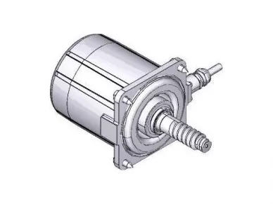 Came 119RIA061 Motor...