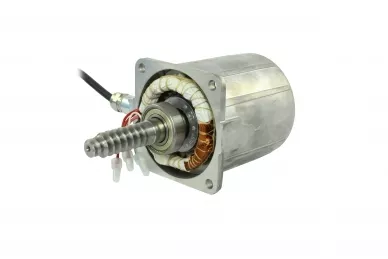 Came 119RIA061 Motor...