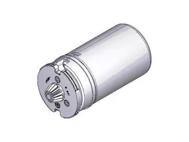 Came 119RIA065 Motor...