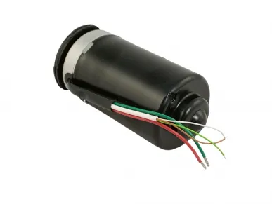 Came 119RIA065 Motor...