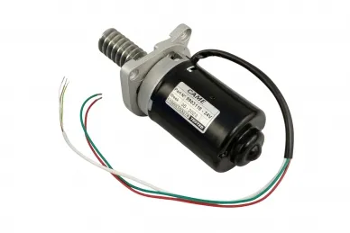 Came 119RIBS014 Motor...