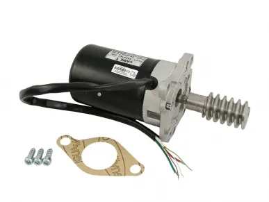 Came 119RIBS019 Motor...