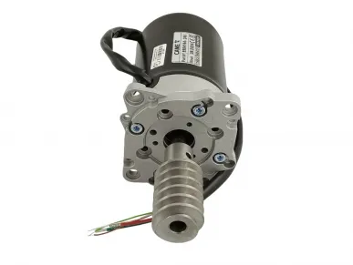 Came 119RIBS019 Motor...