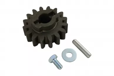 Came 119RIBZ005 Rueda dentada