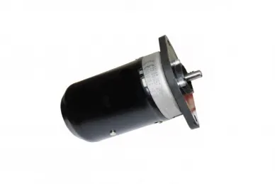 Came 119RIBZ008 Motor 24v