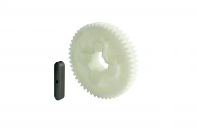 Came 119RIBZ009 wormwiel