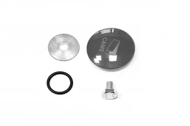 Came 119RID337 Plug