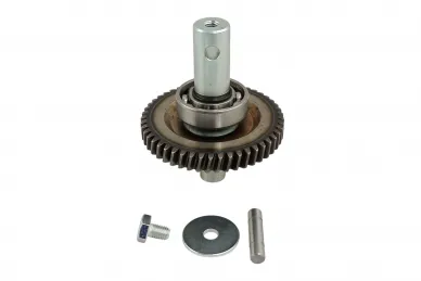 Came 119RID484 Modo principal