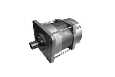 Came 119RIE152 Motor