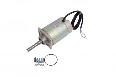 Came 119RIG405 Motor...