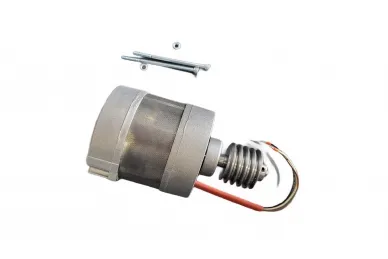 Came 119RIY036 Motor...