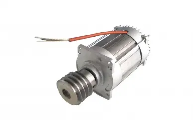 Came 88001-0100 Motor...