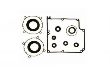 Faac 390834 Sett med pakninger