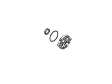 Faac 499463 Sliekinio guolio lizdas