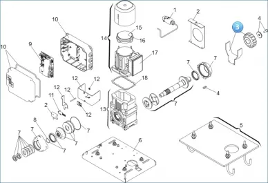 Faac 719169 Roda dentada